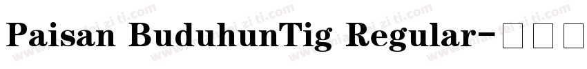 Paisan BuduhunTig Regular字体转换